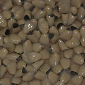 Sample Co Cr PFM Crowns